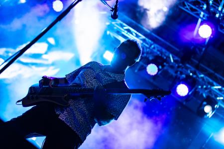 Dan drzˇavnosti, SIDDHARTA-36